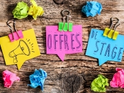 https://lmse-ppd.lemediasocial-emploi.fr/media/cache/articles_thumbnail/uploads/images/articles-small/5fc019333d118_Actu_Appel Unaforis stages.jpeg